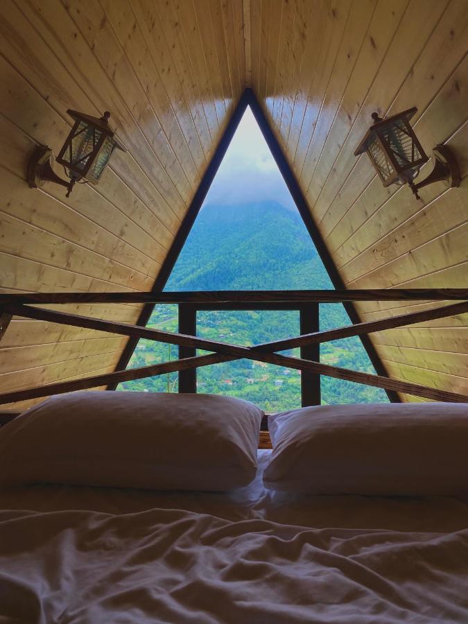 Forest House Dandalo المظهر الخارجي الصورة
