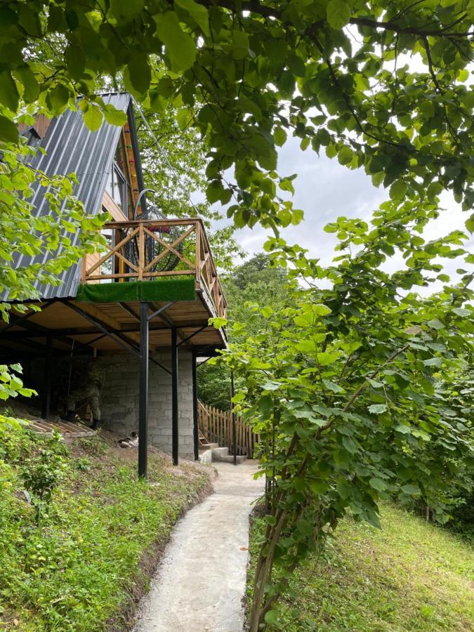 Forest House Dandalo المظهر الخارجي الصورة